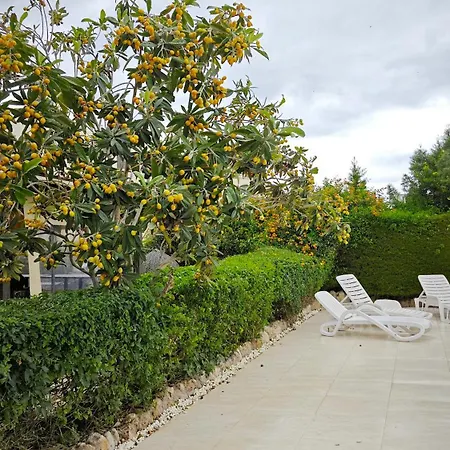 Byzantium Gardens -